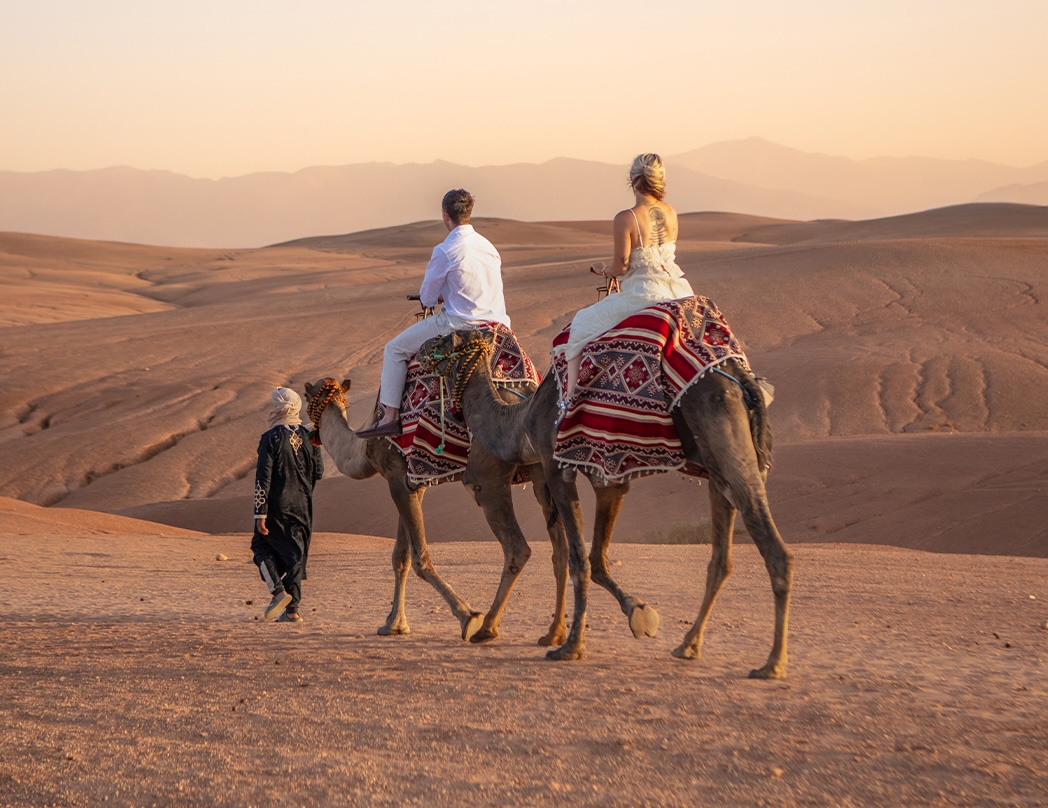 Camel ride at sunset