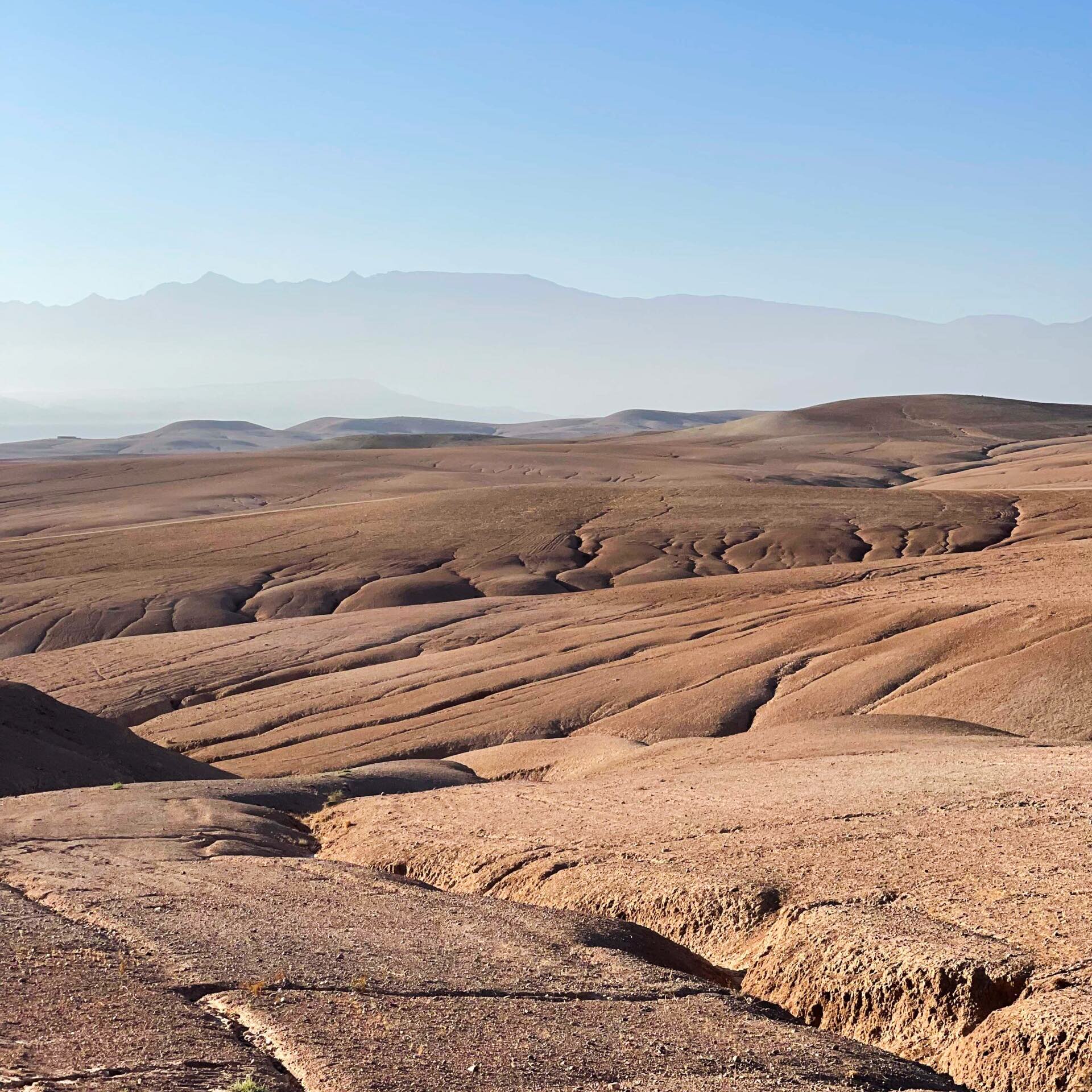 Desert hike