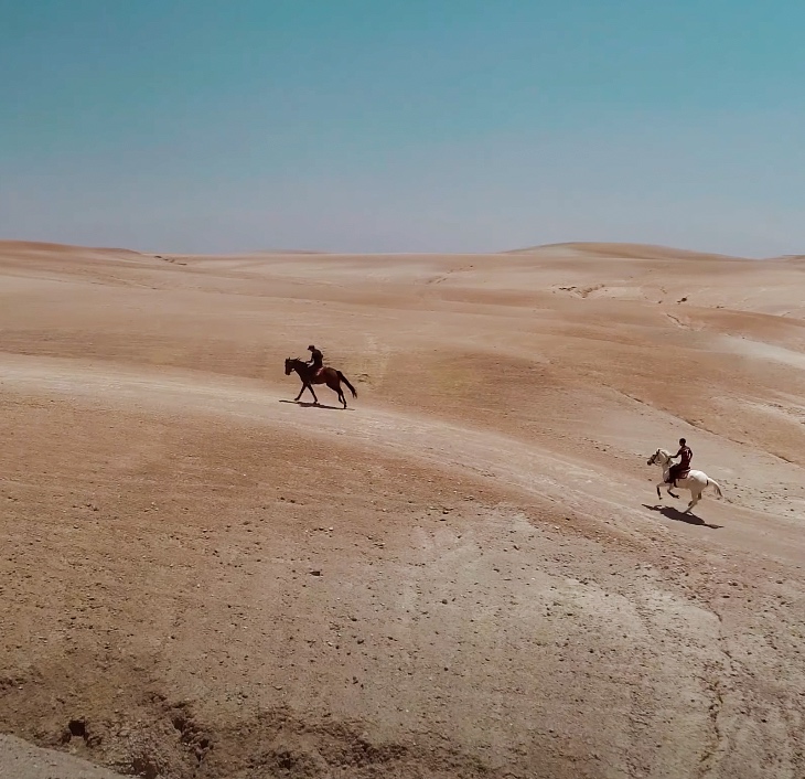 Horseback riding in the Agafay desert